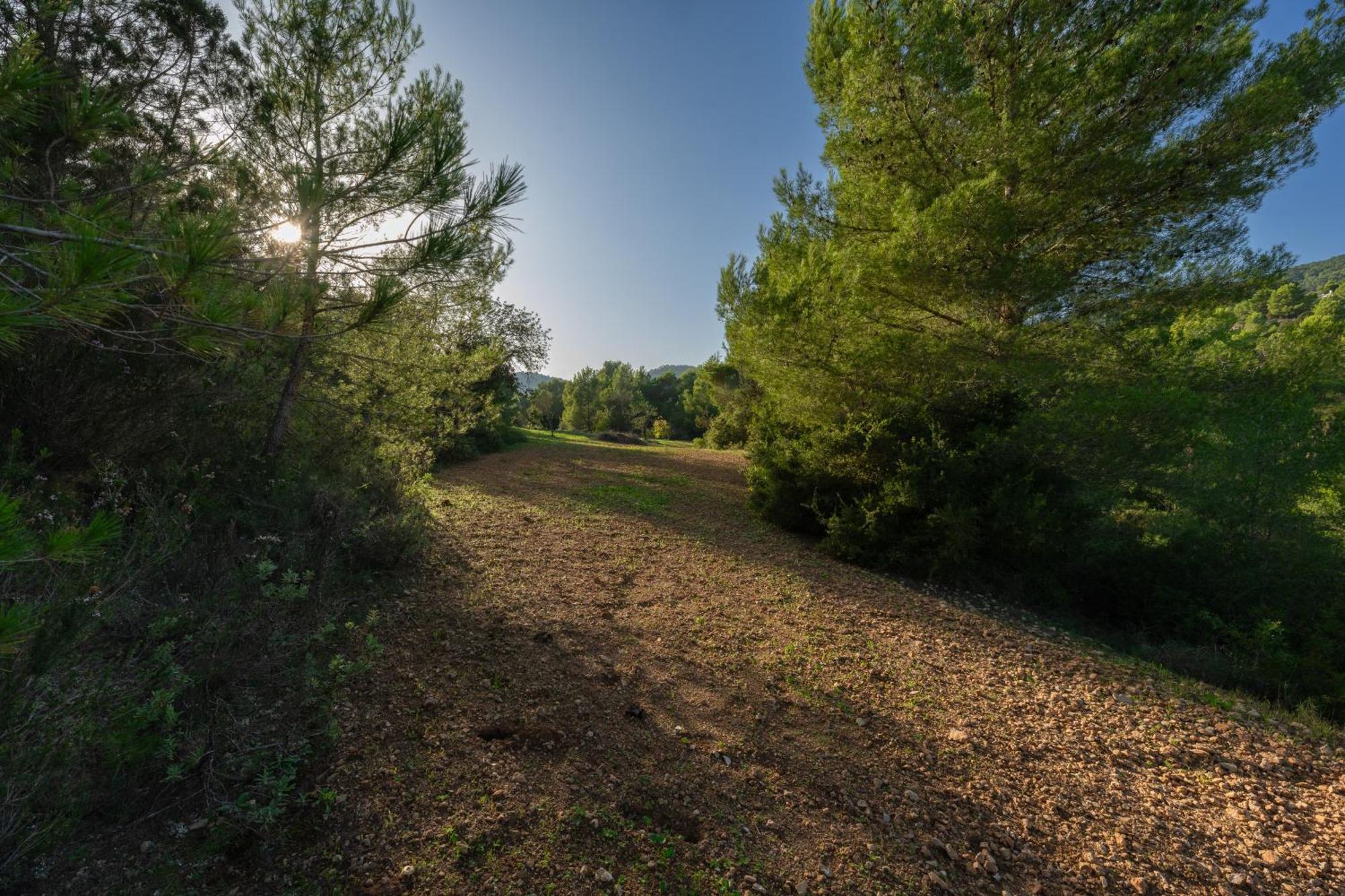 Holiday home Great Paradise Sant Josep de sa Talaia